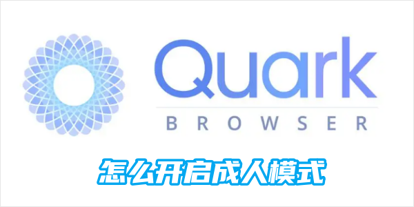 夸克浏览器设置成人模式的方法