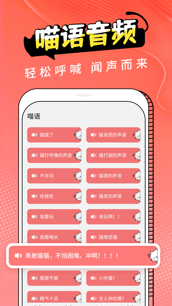 pet猫翻译