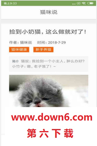 猫咪生活圈