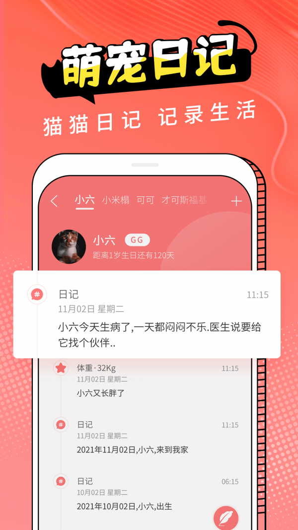 pet猫翻译