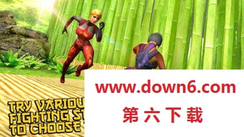 暗夜忍者格斗