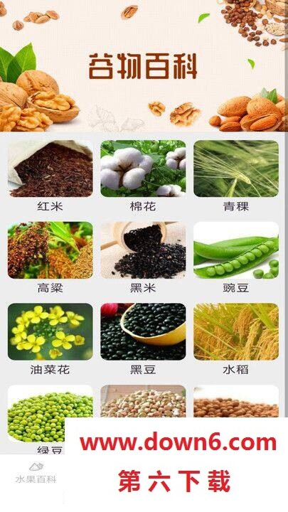 掌上果果多