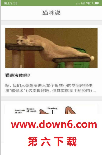 猫咪生活圈