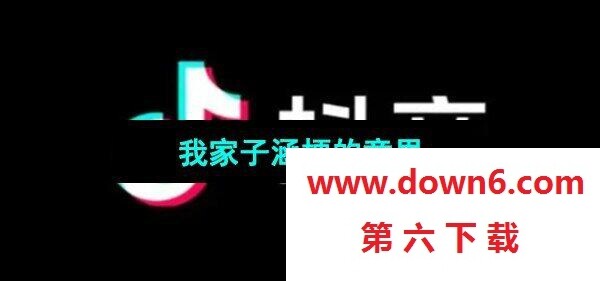 《抖音》我家子涵梗的意思介绍(图文)