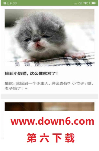 猫咪生活圈