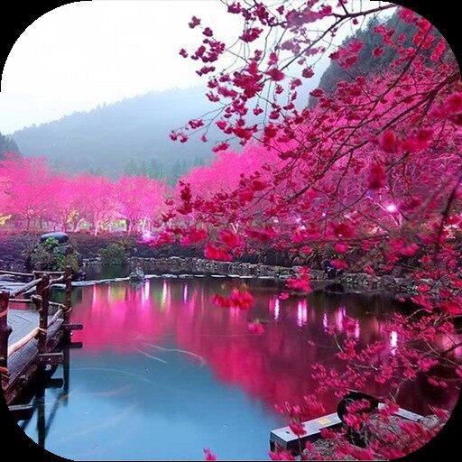 梦幻风景动态壁纸
