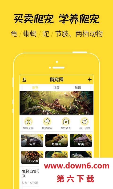 爬宠网