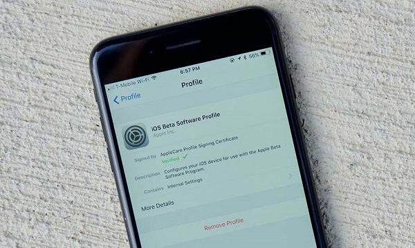苹果iOS系统的描述文件是什么 iOS12描述文件安装和删除方法