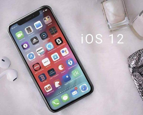 苹果iPhone XR固件验证通道已关闭