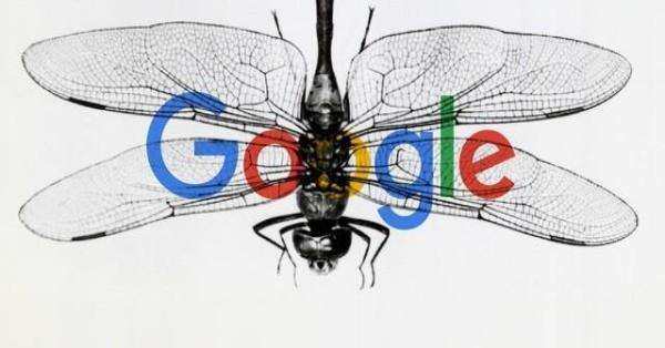 凉凉！谷歌Google中国定制版搜索引擎开发中止