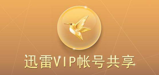 2019年4月3日迅雷vip会员帐号免费分享