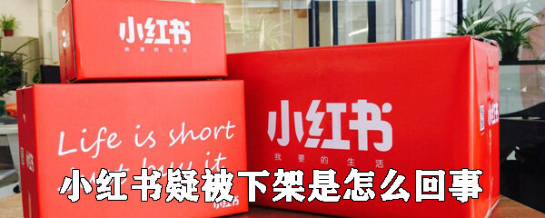 小红书疑被下架是怎么回事 小红书app为什么被下架