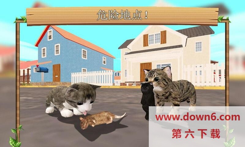 猫咪模拟器最新版