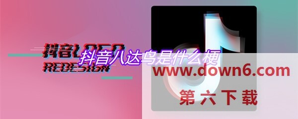 抖音八达鸟是什么梗-八达鸟出处及含义介绍