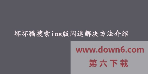 坏坏猫搜索ios版闪退怎么办-苹果版坏坏猫搜索闪退解决方法介绍
