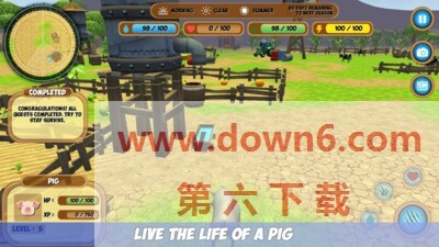 一头猪模拟器