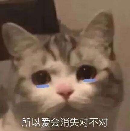 抖音所以爱会消失吗下一句是什么梗  所以爱会消失吗下一句怎么接