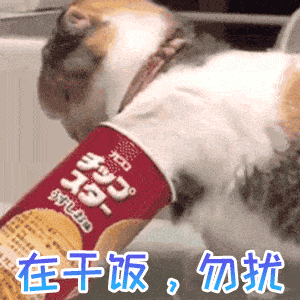 干饭人表情包		