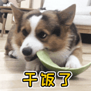 干饭人表情包		