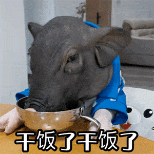 干饭人表情包		