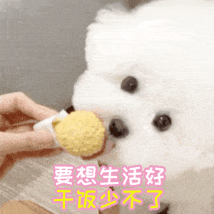 干饭人表情包		
