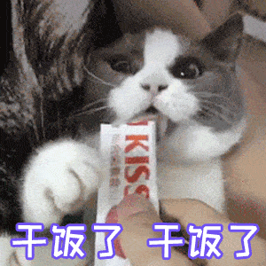 干饭人表情包		