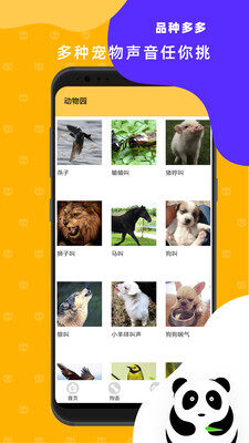 猫狗翻译神器app下载