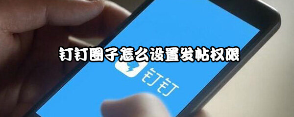 钉钉朋友圈怎么设置发帖权限  钉钉圈子权限设置技巧