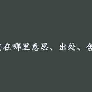 抖音保安在哪里是什么意思？保安在哪里含义及出处介绍