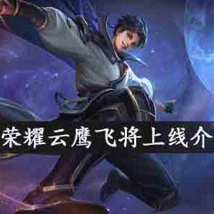 王者荣耀云鹰飞将什么时候上线-云鹰飞将上线时间及价格介绍