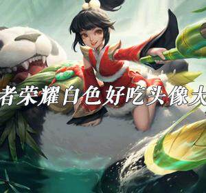 王者荣耀白色好吃头像大全-白色好吃高清无水印头像汇总