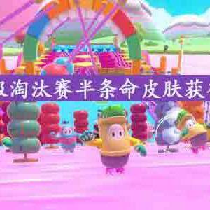 糖豆人终极淘汰赛半条命皮肤多少钱，怎么获得？半条命皮肤获得方法介绍