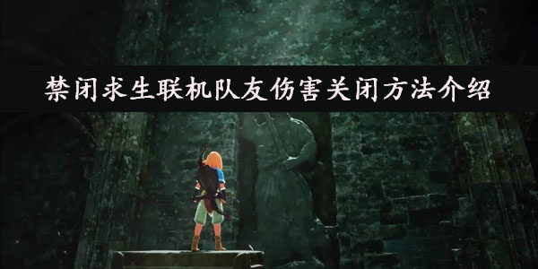 禁闭求生联机队友伤害怎么关闭-禁闭求生联机队友伤害关闭方法介绍