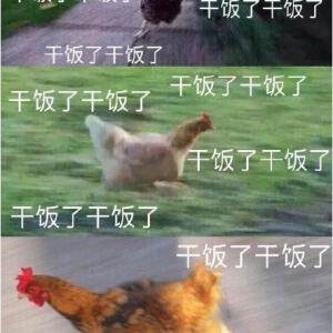 干饭人梗介绍