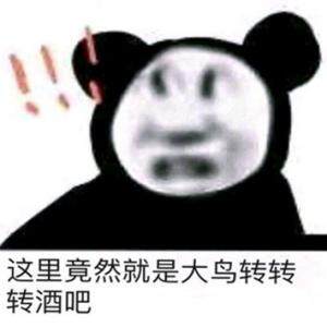 大鸟转转转酒吧梗介绍