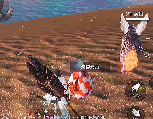 <strong>妄想山海宠物蛋刷新点介绍</strong>