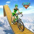 <strong>BMX自行车特技2021</strong>