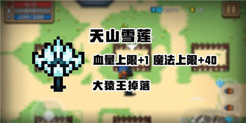<strong>元气骑士天山雪莲有什么用</strong>