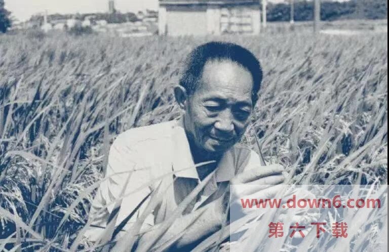 <a href=http://www.down6.com/special/wechat-version/ target=_blank class=infotextkey>微信</a>图片_20210522135544.jpg