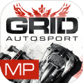 grid赛车游戏安卓破解版