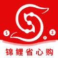 锦鲤省心购最新版
