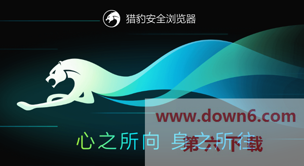 猎豹浏览器