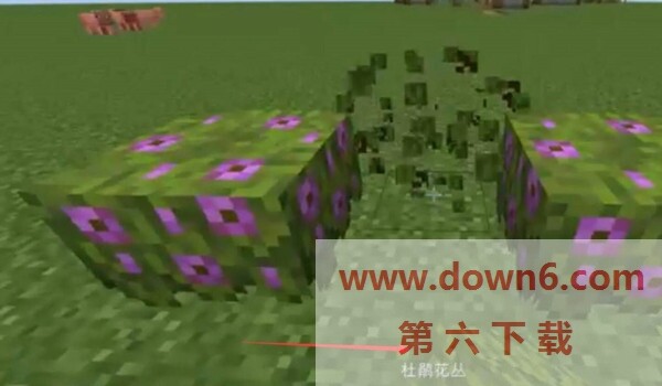 20220531102157_64430.jpg
