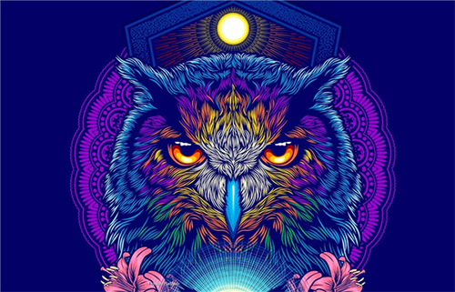 Coreldraw2021绿色版 8.0