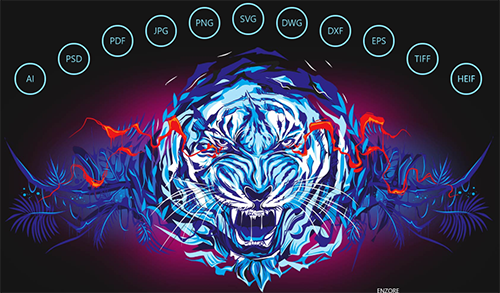 Coreldraw2021绿色版 8.0