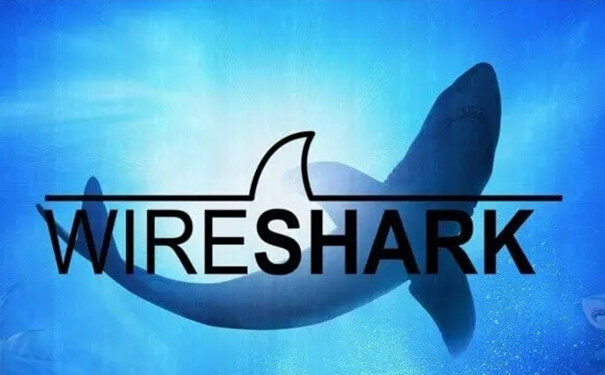 wireshark最新版 3.6.7