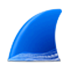 wireshark最新版 3.6.7