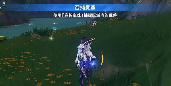 原神蕈兽捕捉方法(图文)