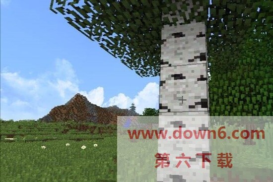 20221107153656_43237.jpg