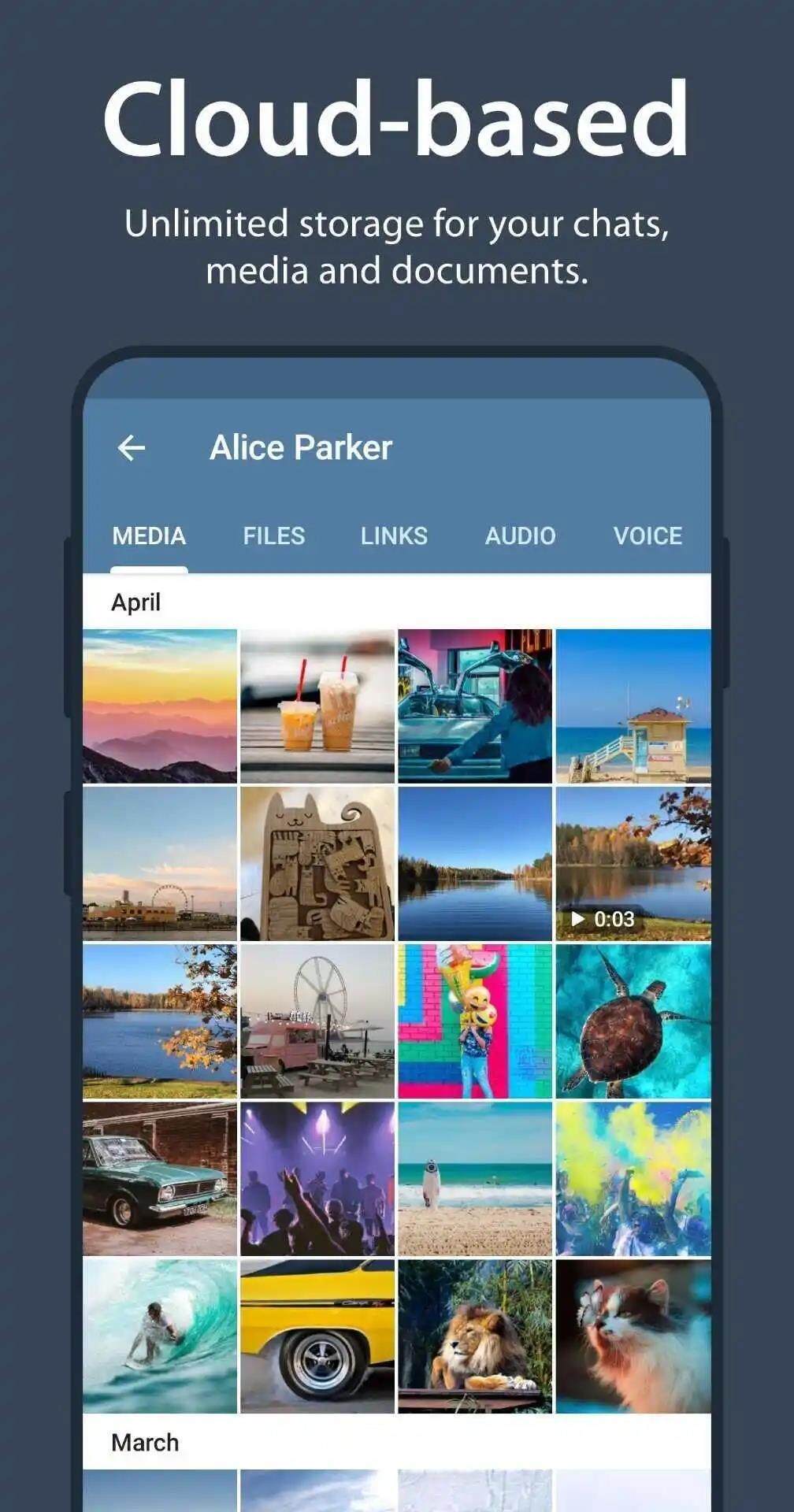 纸飞机官网app